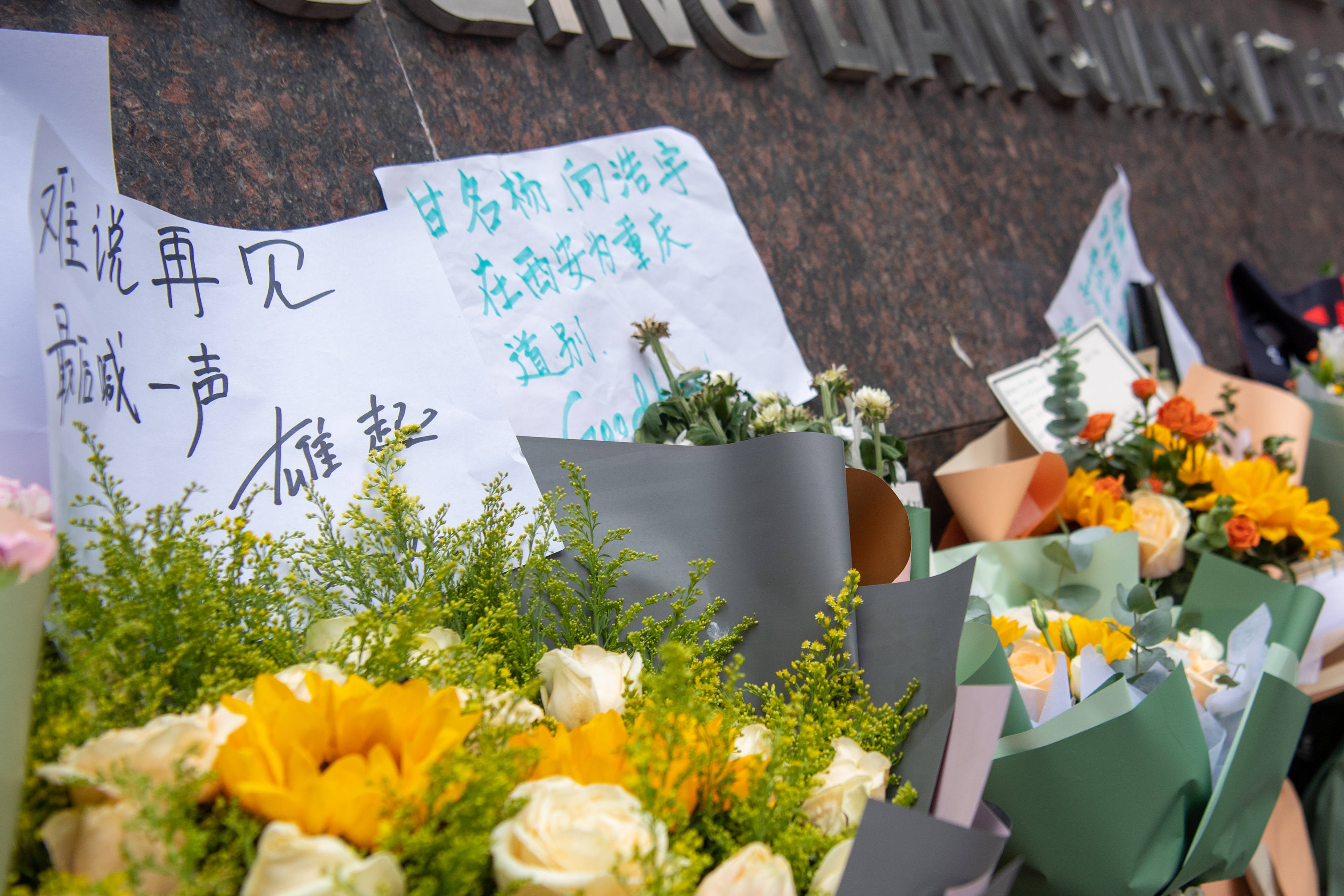 欧博官网体育下载重庆队告捷，实力迎来爆发性增长的简单介绍